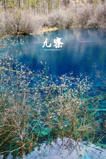 延吉市推出“四项新政” 促进教育公平