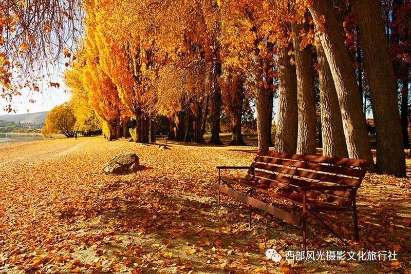 抖音很火的歌什么黑夜游戏画面