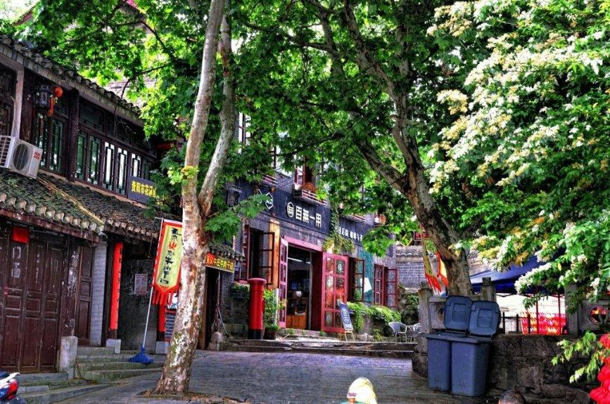 “种草”海南，米卡来了～