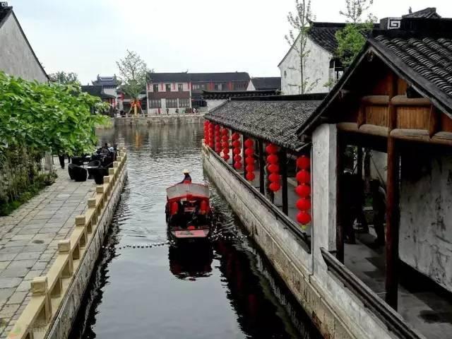 救援大嘴鸟