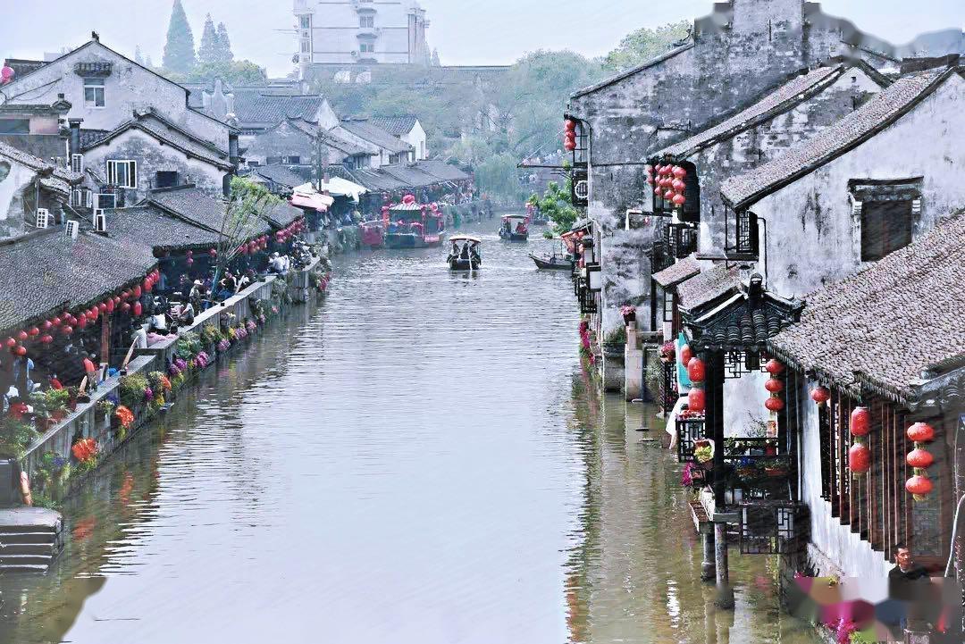 爱吃的鱼